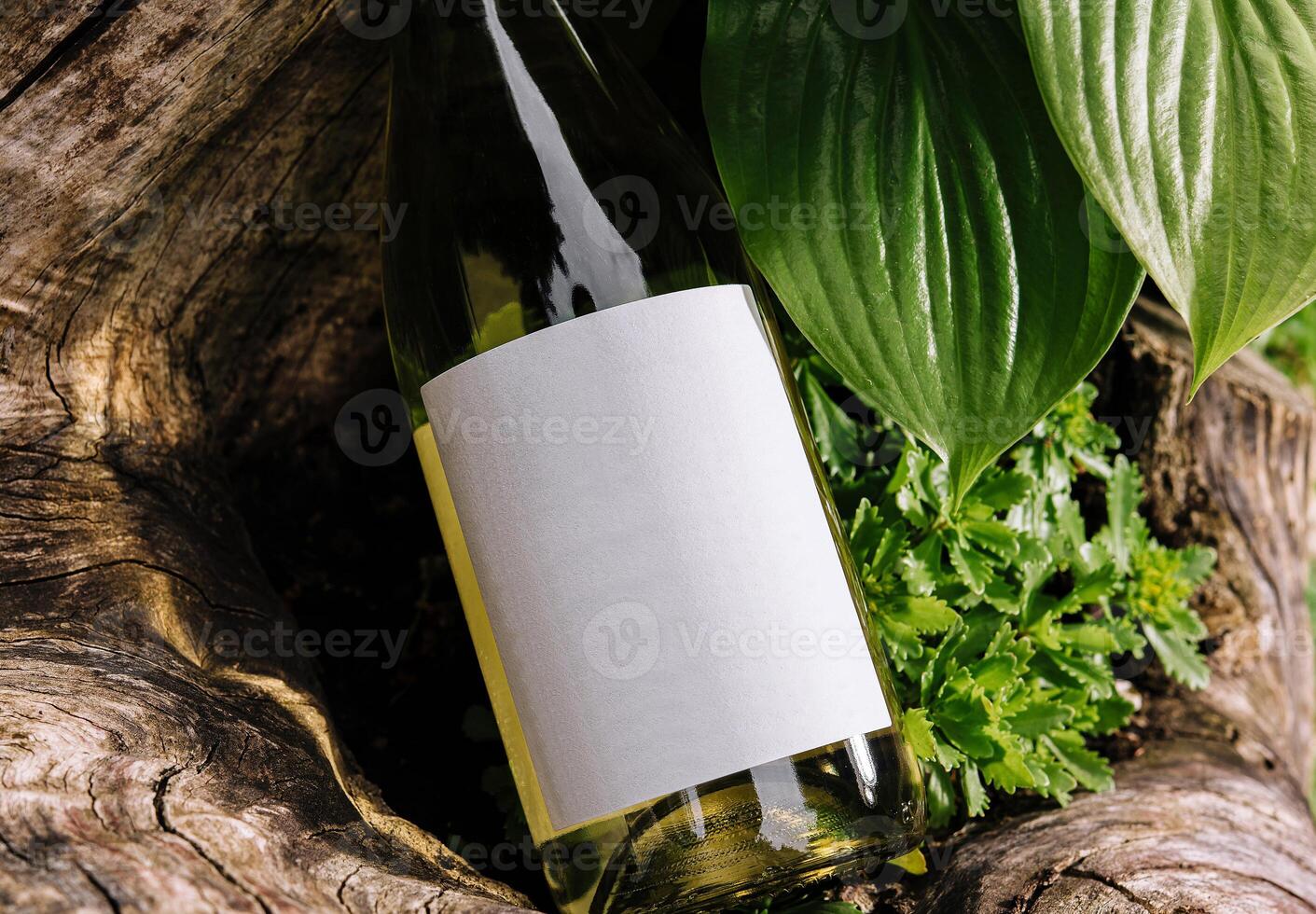 White wine bottle resting on a tree trunk surrounded by lush greenery photo