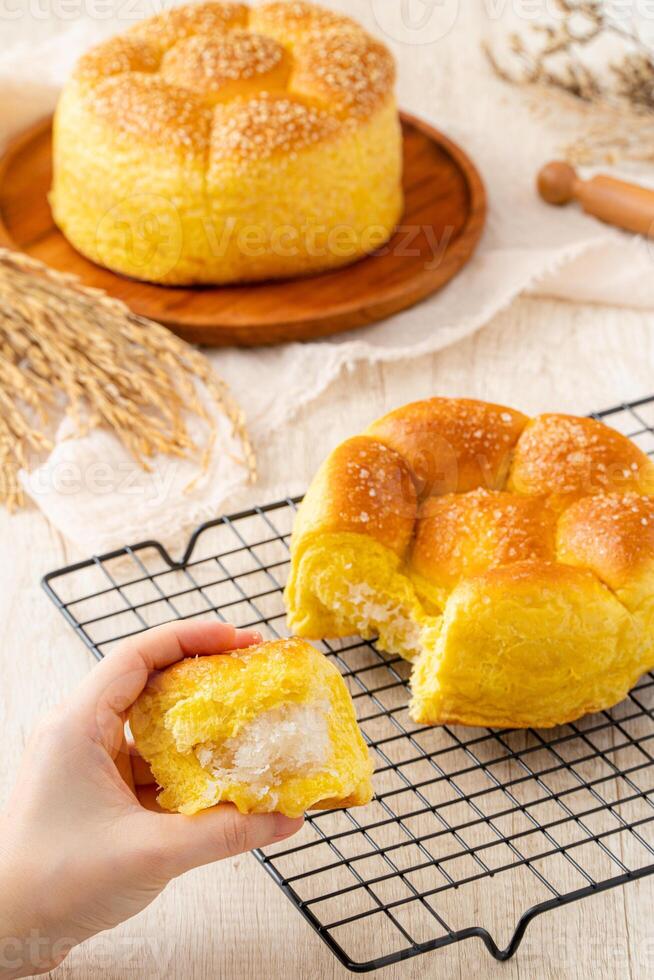 Roti sobek or Soft bread photo