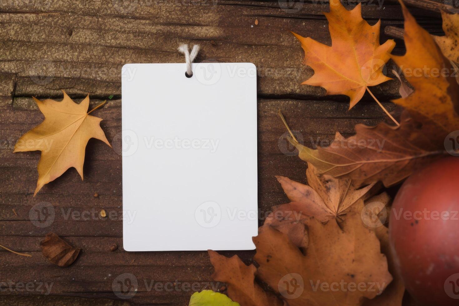 Autumn Leaves Background with Blank White Card for Text photo