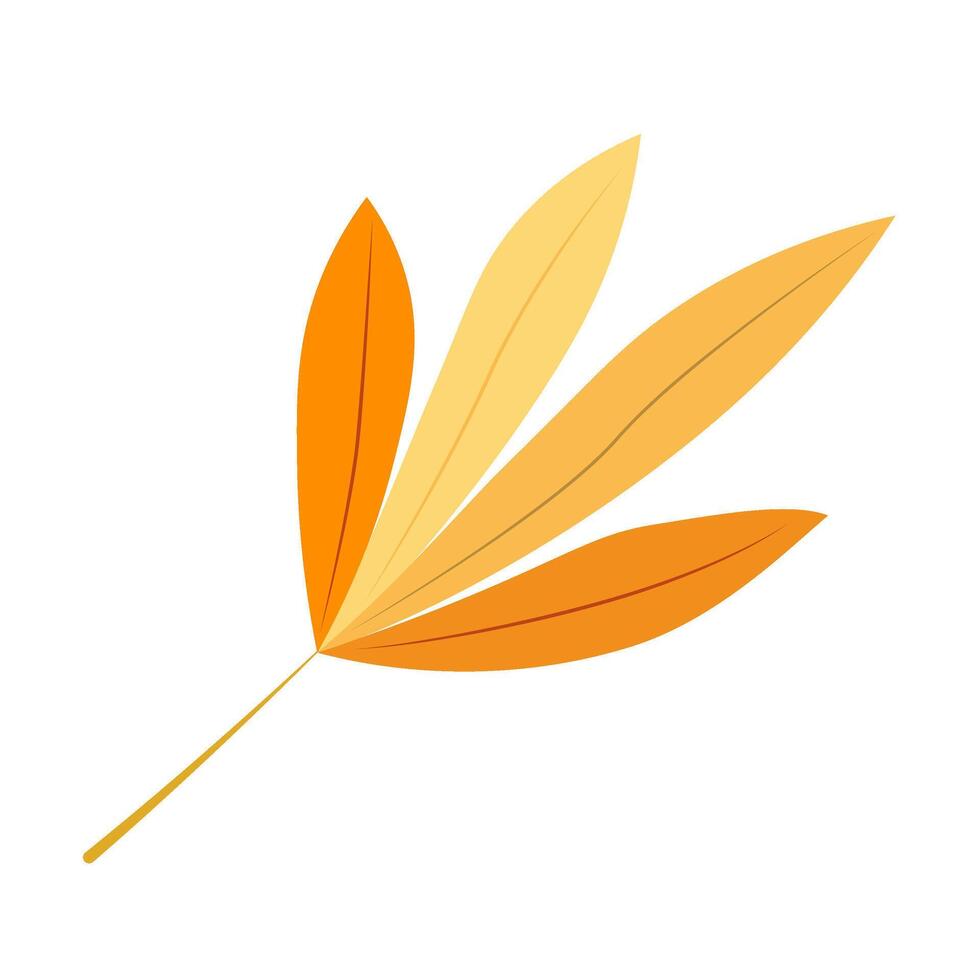 Autumn leaf illustration vector