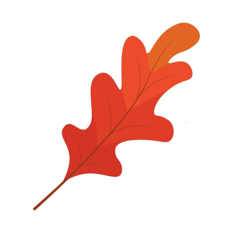 An orange leaf on a white background vector