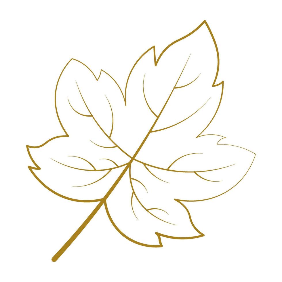 Autumn Leaves Line Art design vector