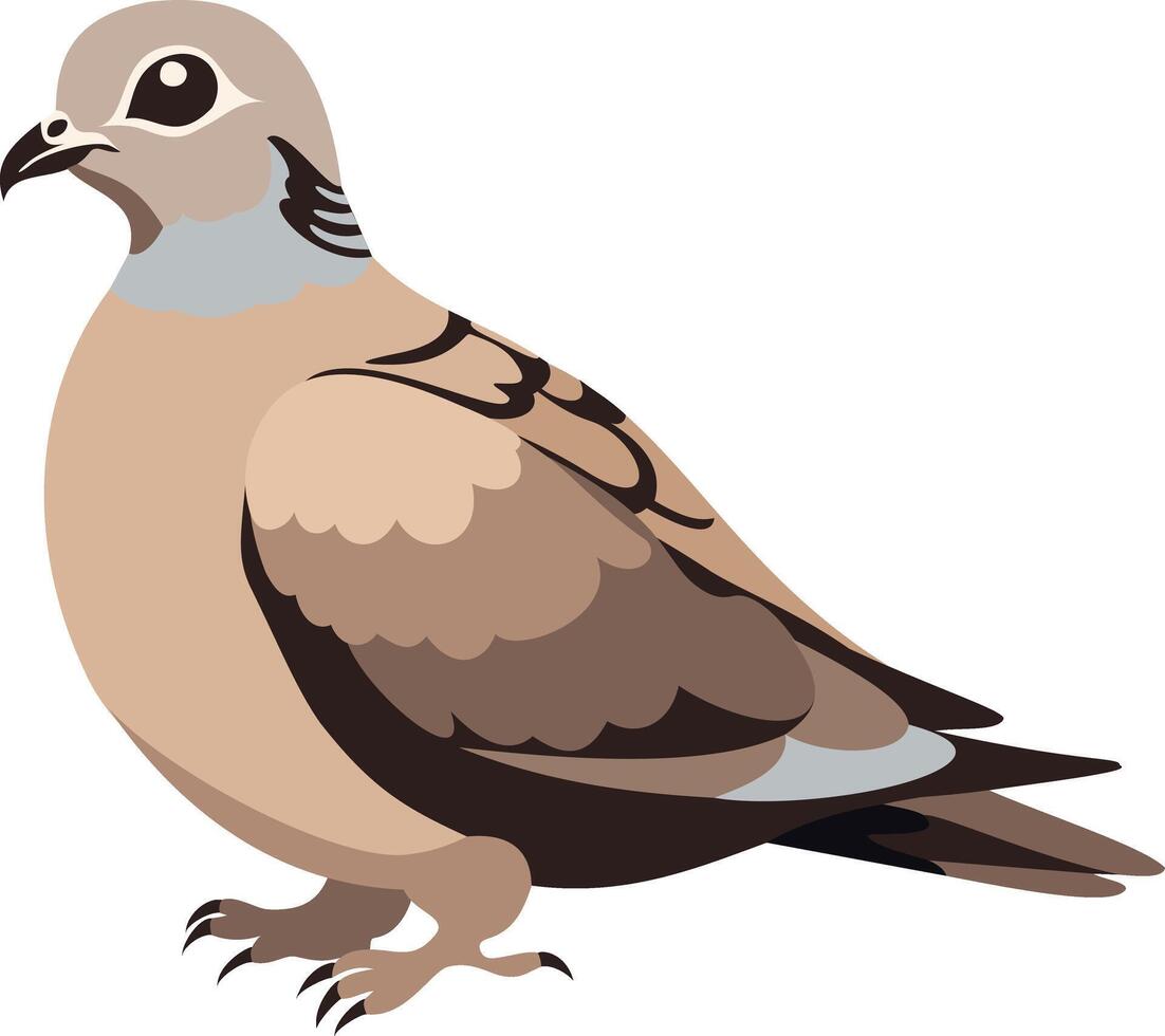 Turtle dove. illustration isolated on white background vector