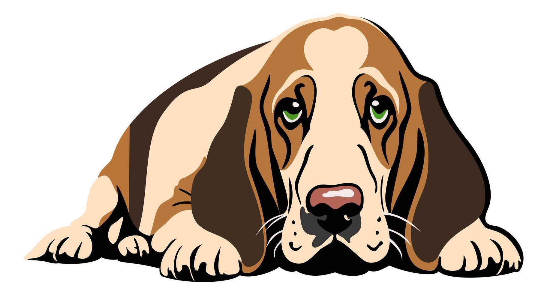 Basset dog. Cute pet. isolated illustation vector
