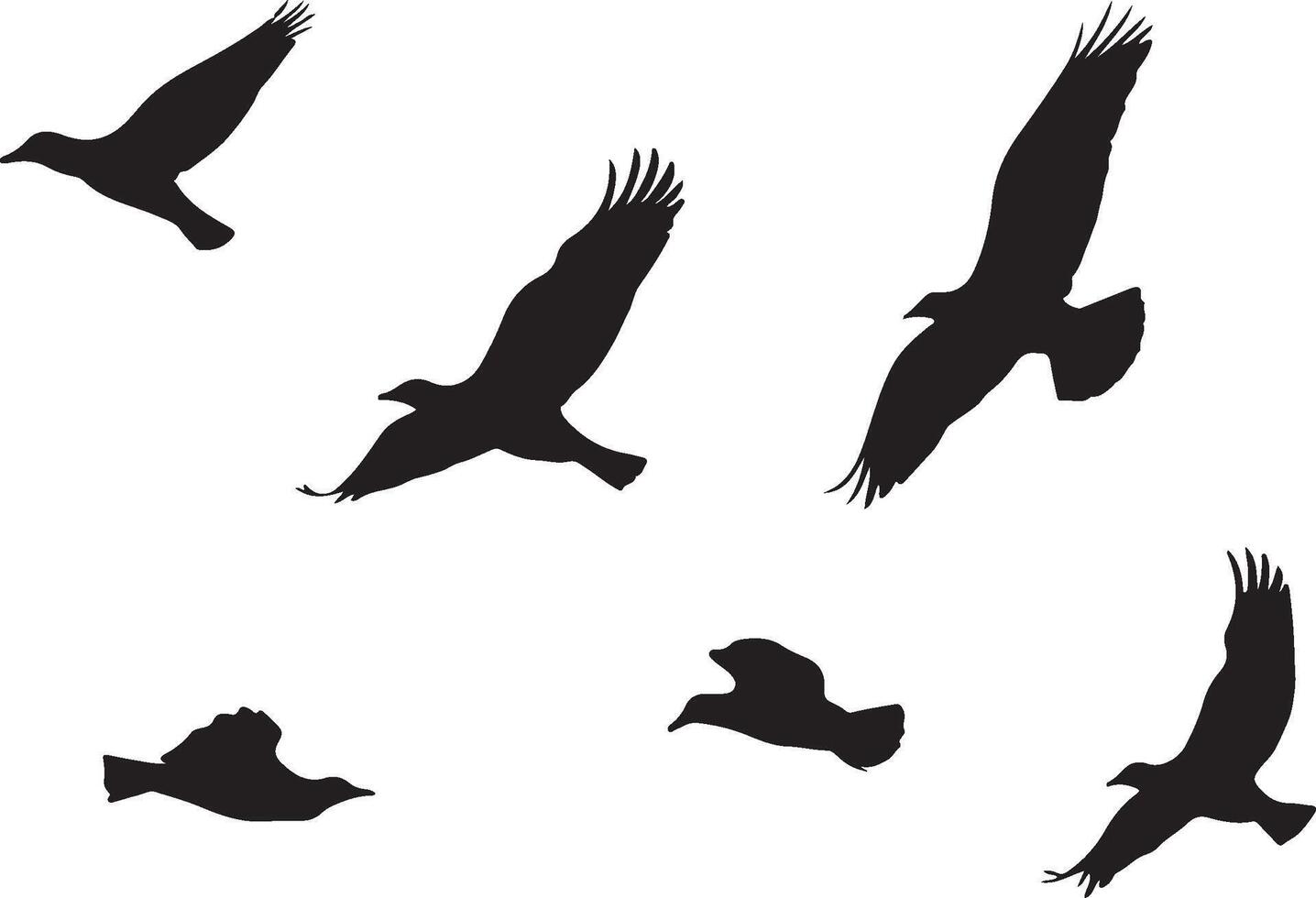birds Flying Silhouettes design vector