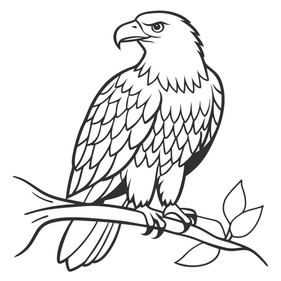 an eagle on a branch of a tree out line for children's coloring pages vector