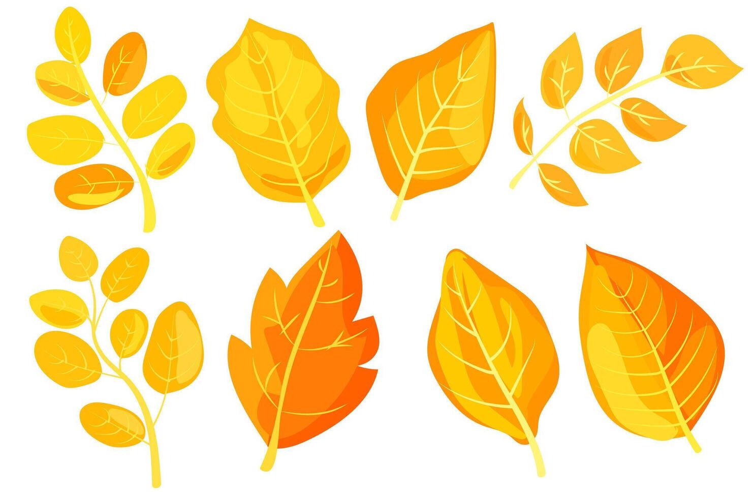 Various colorful autumn leaves in different shapes, illustrated in a vibrant graphic style on a white background, representing fall season. illustration vector
