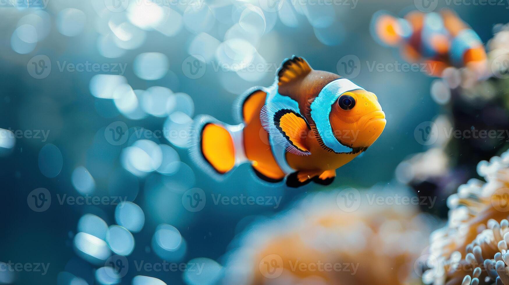A lively aquatic scene with clownfish and coral reef in the background. photo