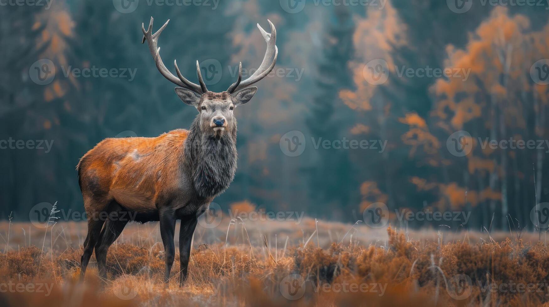 A majestic golden deer gazes through the misty forest, a symbol of regal strength and grace. photo