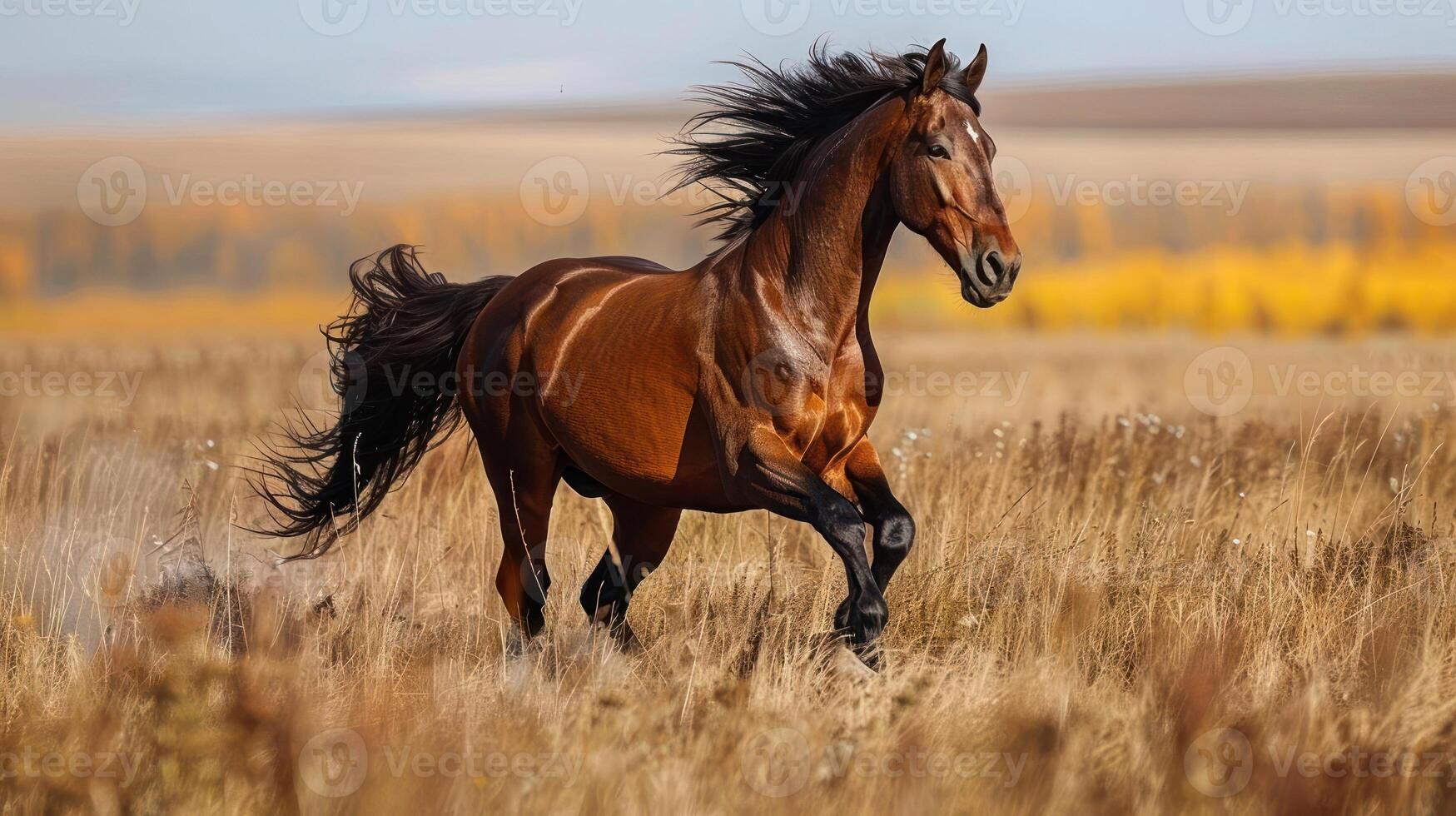 A horse is captured mid-gallop across a grassy field with trees in the distance, photo