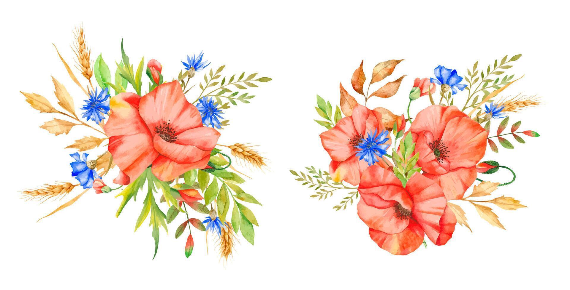 Poppy Flowers Watercolor Illustration. Poppy Bouquets. Botanical Watercolor. Wildflower Bouquets Hand Painted isolated on white background vector