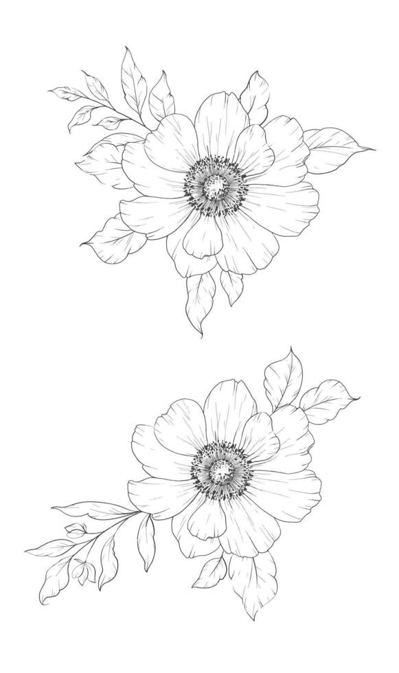 Anemone Ink Drawng. Floral Line Art. Anemone Line Art Illustration. Line Art Bouquet. Fine Line Anemone illustration. Hand Drawn flowers. Botanical Coloring. Wedding invitation flowers vector
