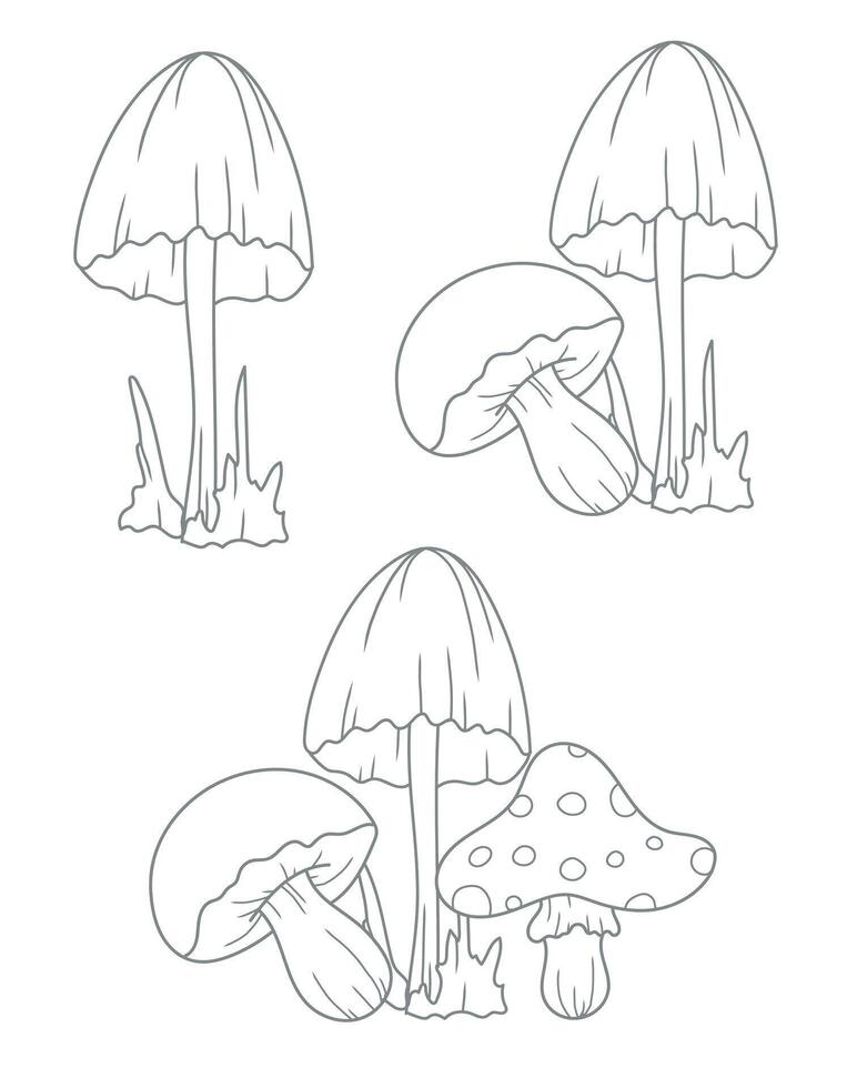 Mushrooms outline isolated on white. Mushrooms ine art ilustration. Fall Mushrooms Hand Drawn. Doodle Fall Coloring Page. Thanksgiving graphics vector