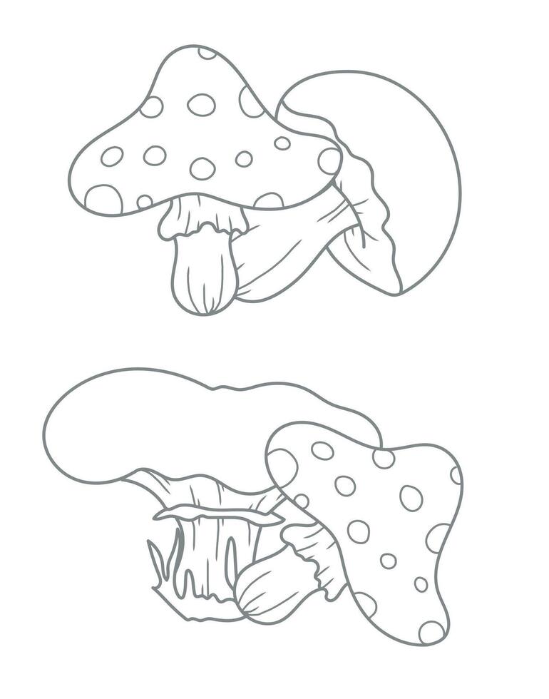 Mushrooms outline illustration. Mushrooms ine art ilustration. Fall Mushrooms Hand Drawn. Fall Coloring Page. Thanksgiving graphics vector