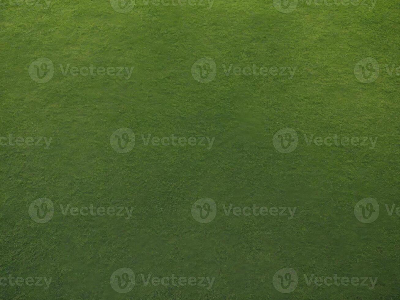 top view texture of green grass for background. photo