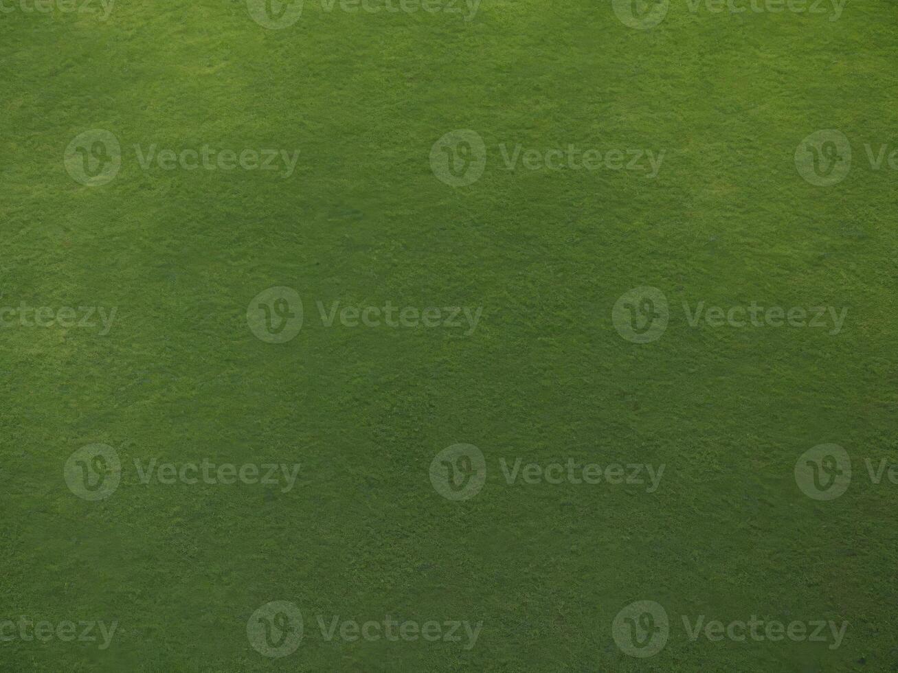 top view texture of green grass for background. photo