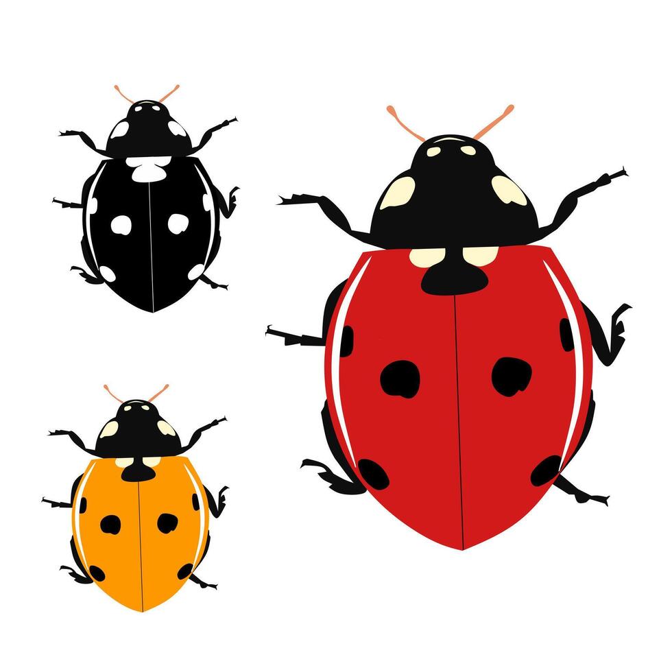 Animal illustration clip art vector