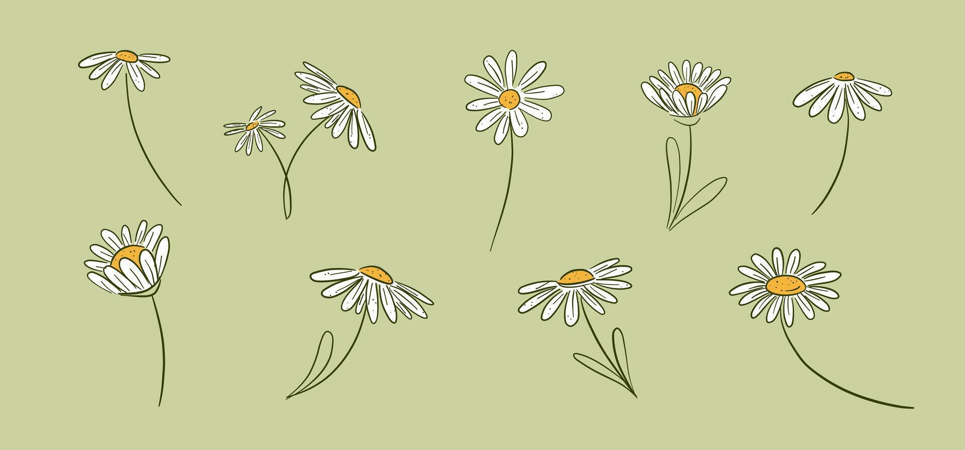daisy flower doodle hand drawn illustration collection vector