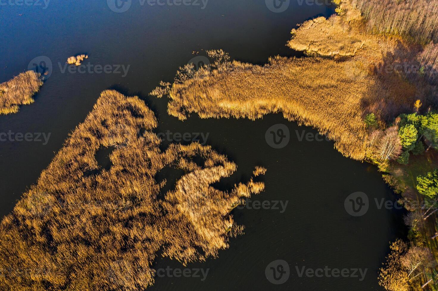 View from the height of the lake Papernya in Belarus. The Nature Of Belarus photo