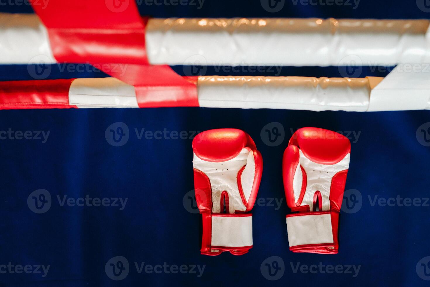 Close-up of red boxing gloves on the floor of a blue boxing ring photo