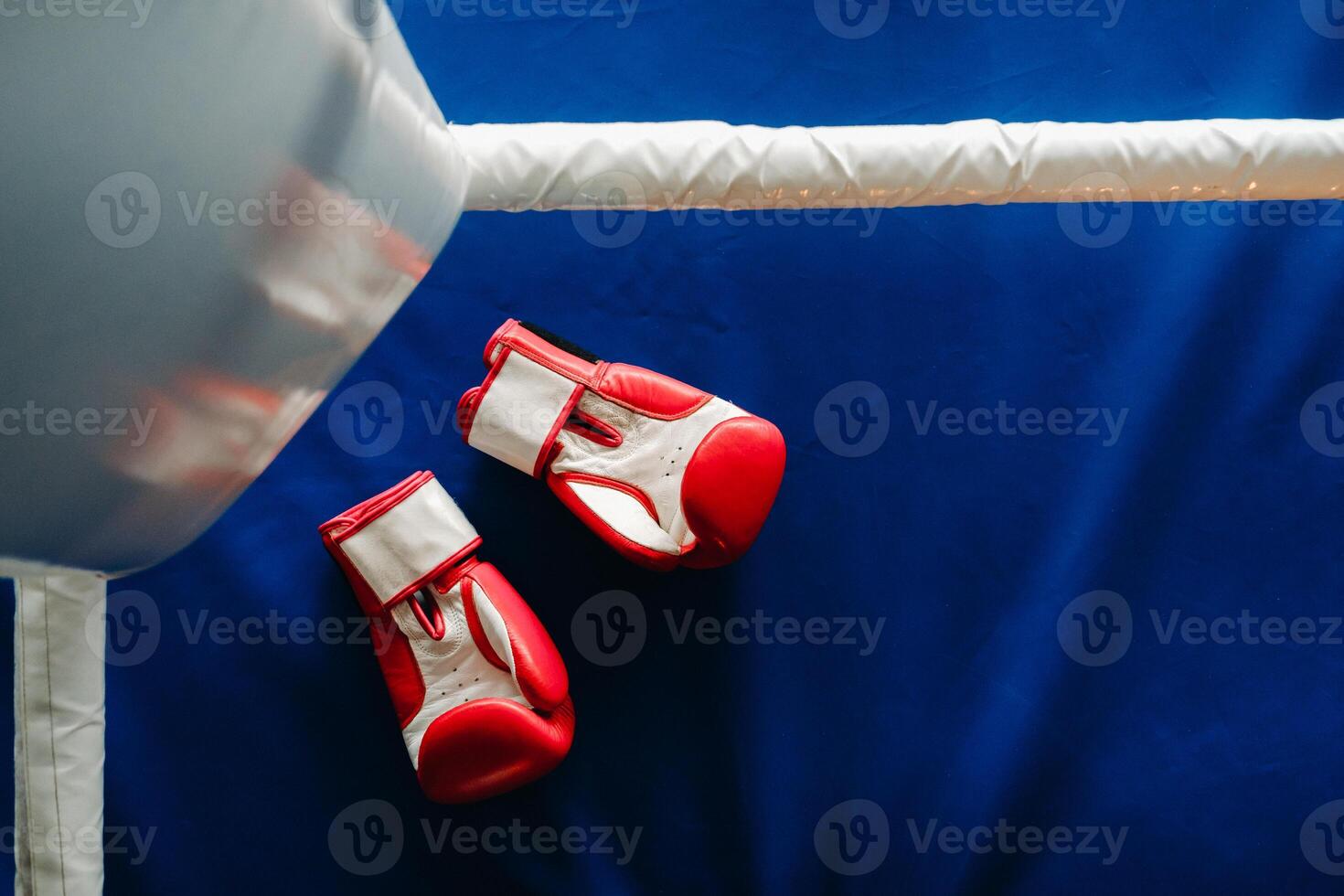 Close-up of red boxing gloves on the floor of a blue boxing ring photo