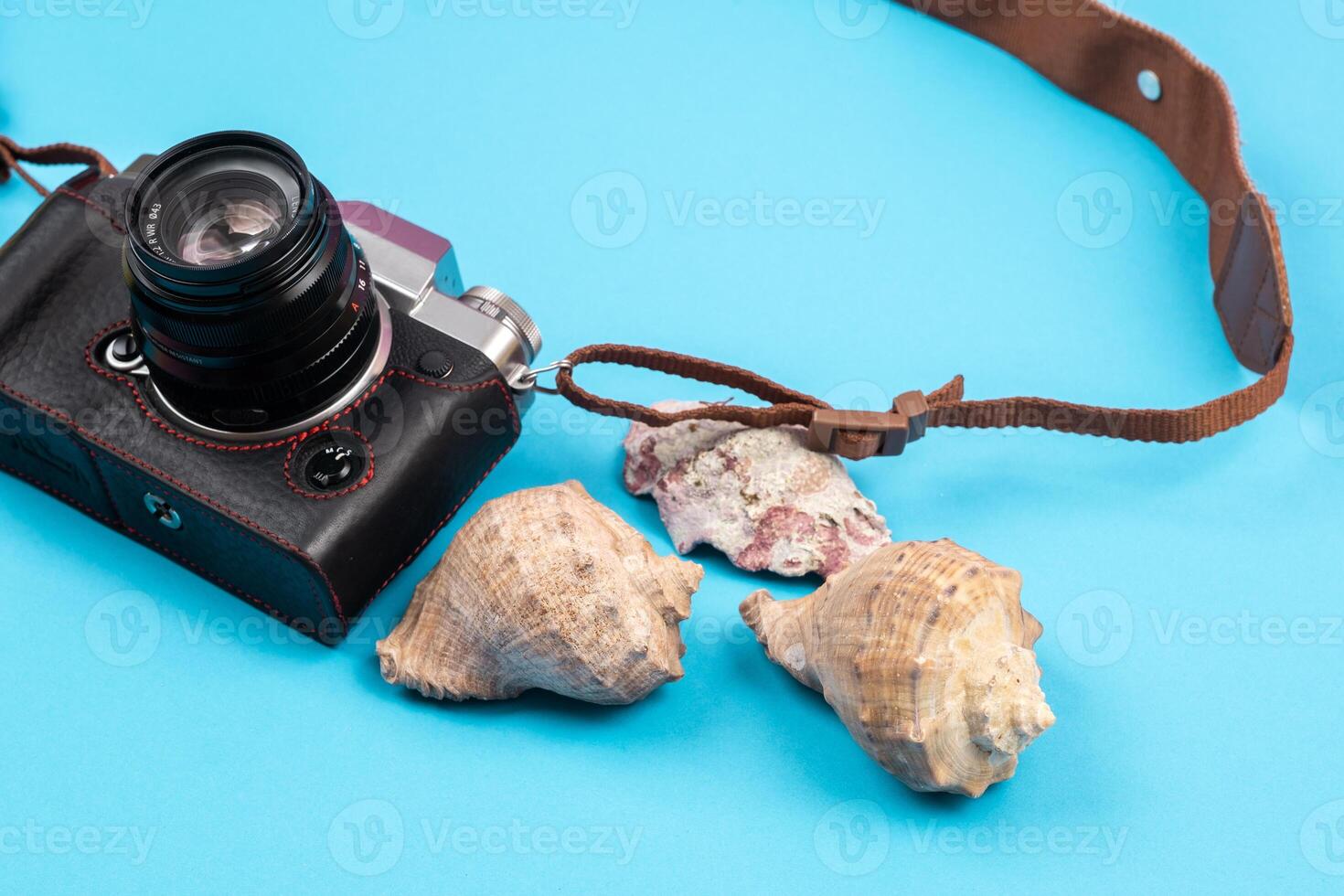 camera and seashells on a blue background.Background for the traveler photo
