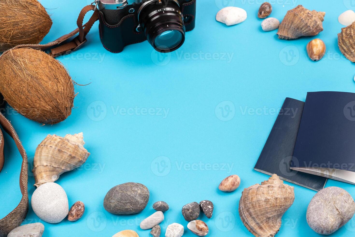 camera,coconuts, shells and documents on a blue background.Background for the traveler photo