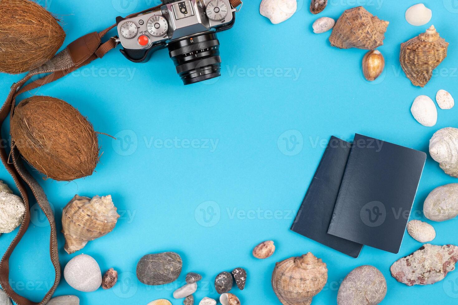 camera,coconuts, shells and documents on a blue background.Background for the traveler photo