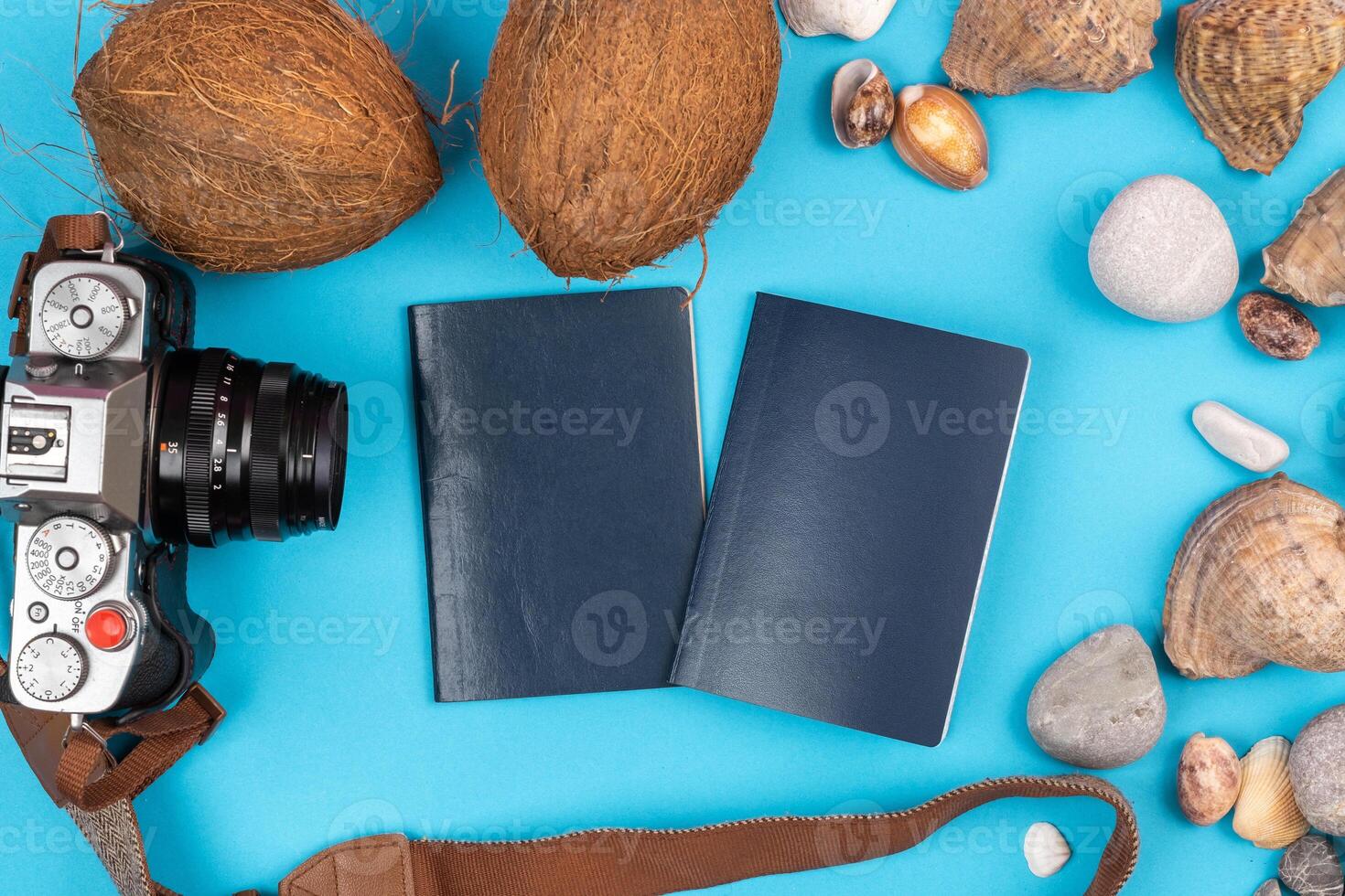camera,coconuts, shells and documents on a blue background.Background for the traveler photo