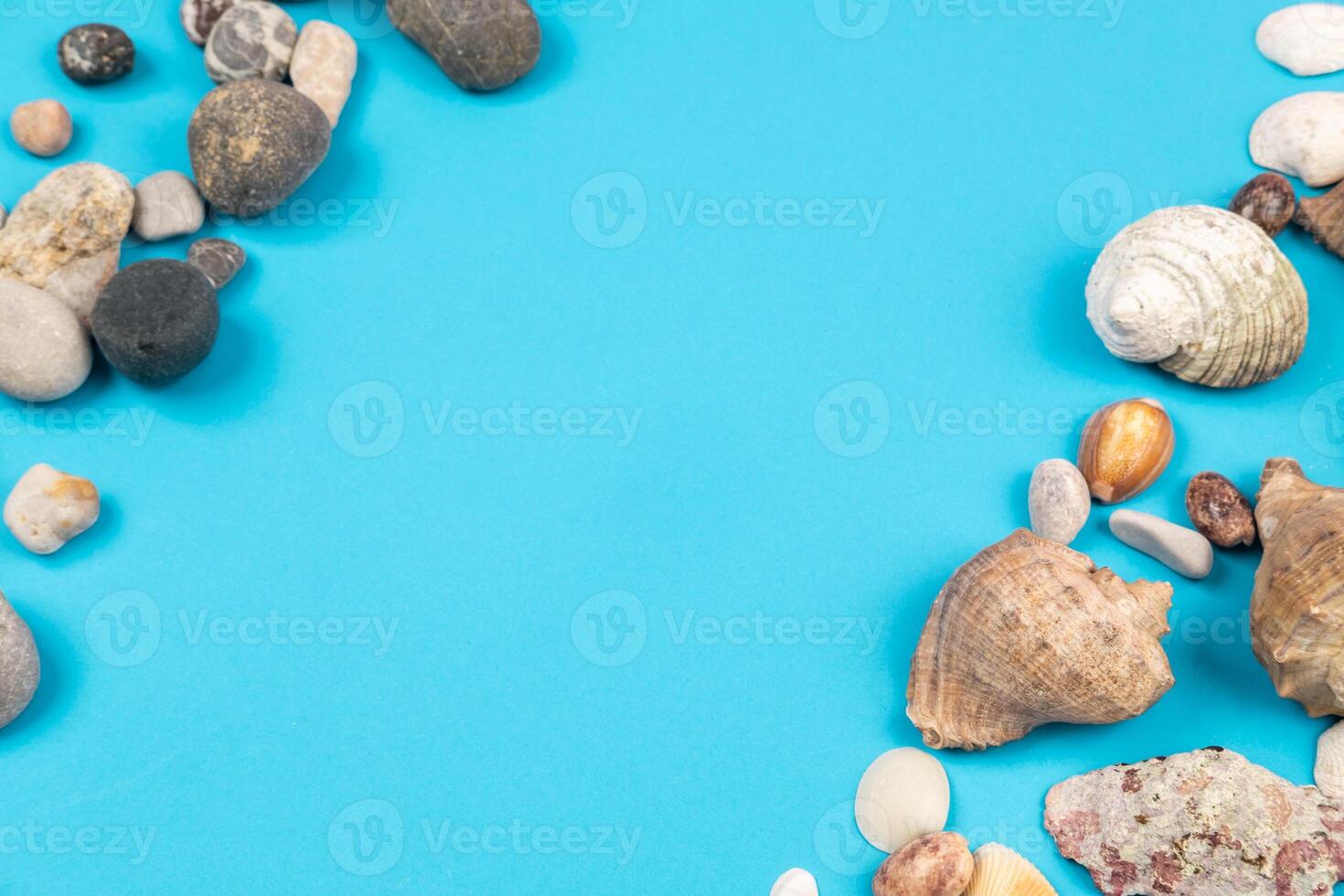 Seashells and rocks on a blue background.Marine theme photo