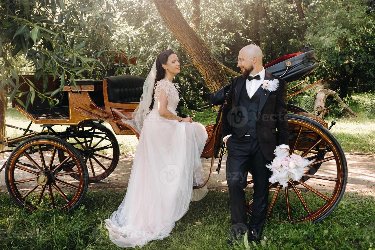 A couple of the bride and groom are standing near the carriage in nature in retro style photo