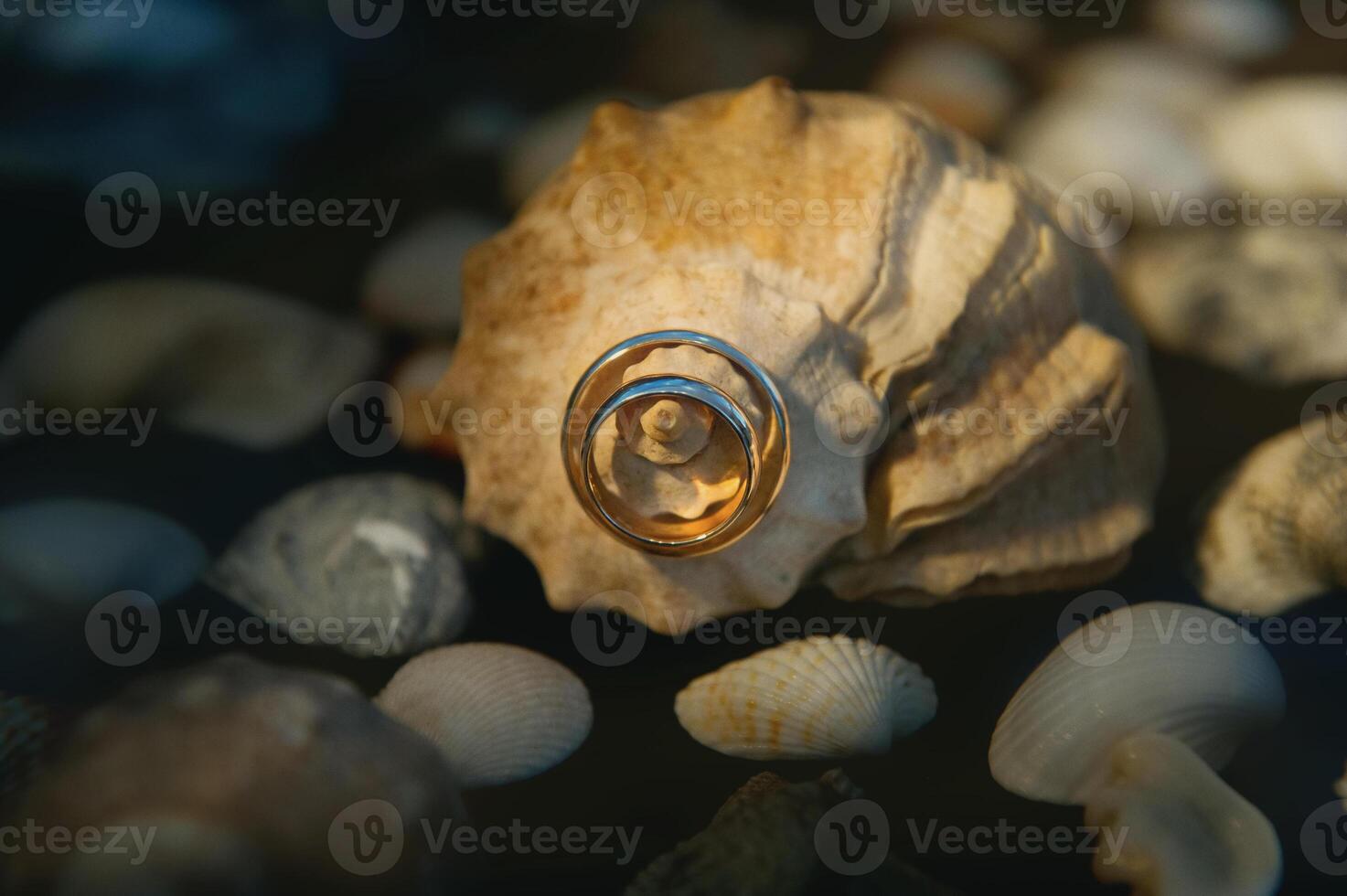 Close-up of two gold wedding rings for a wedding photo