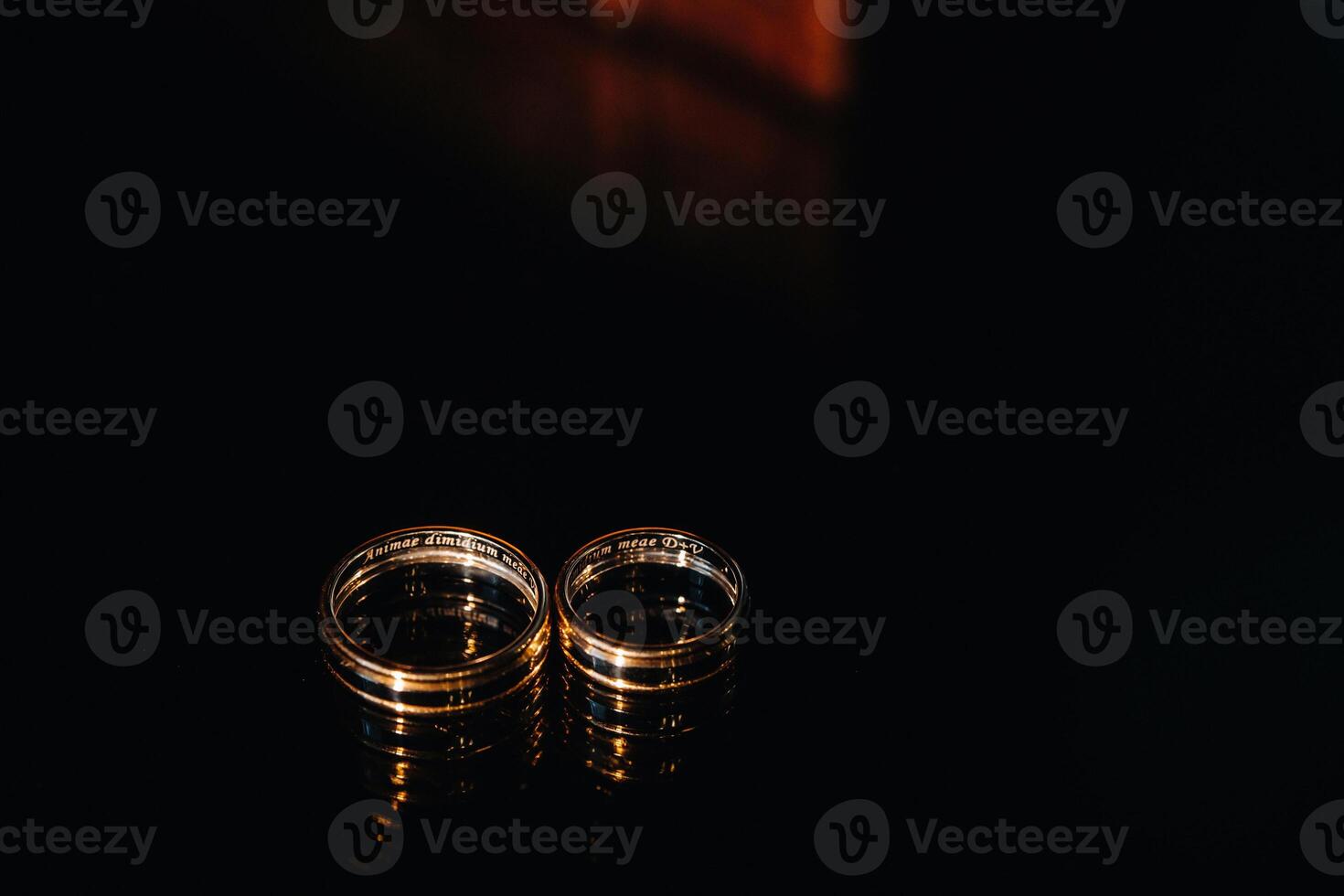 Close-up of two gold wedding rings for a wedding photo