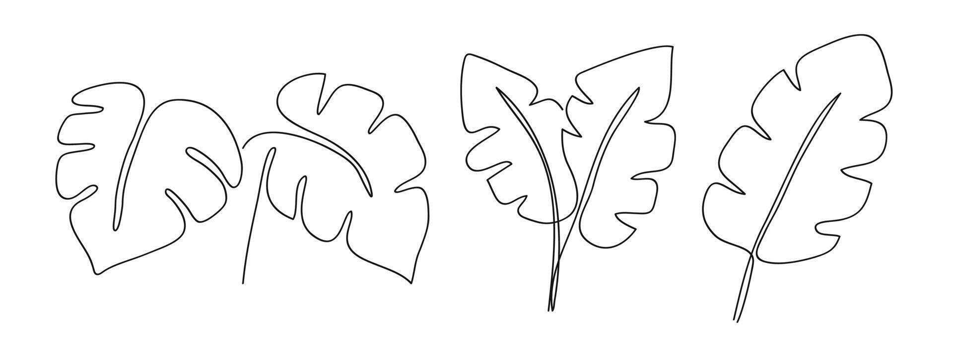 Hand-drawn one continuous line art of tropical monstera leaves. Set of tropical monstera leaves. illustration vector