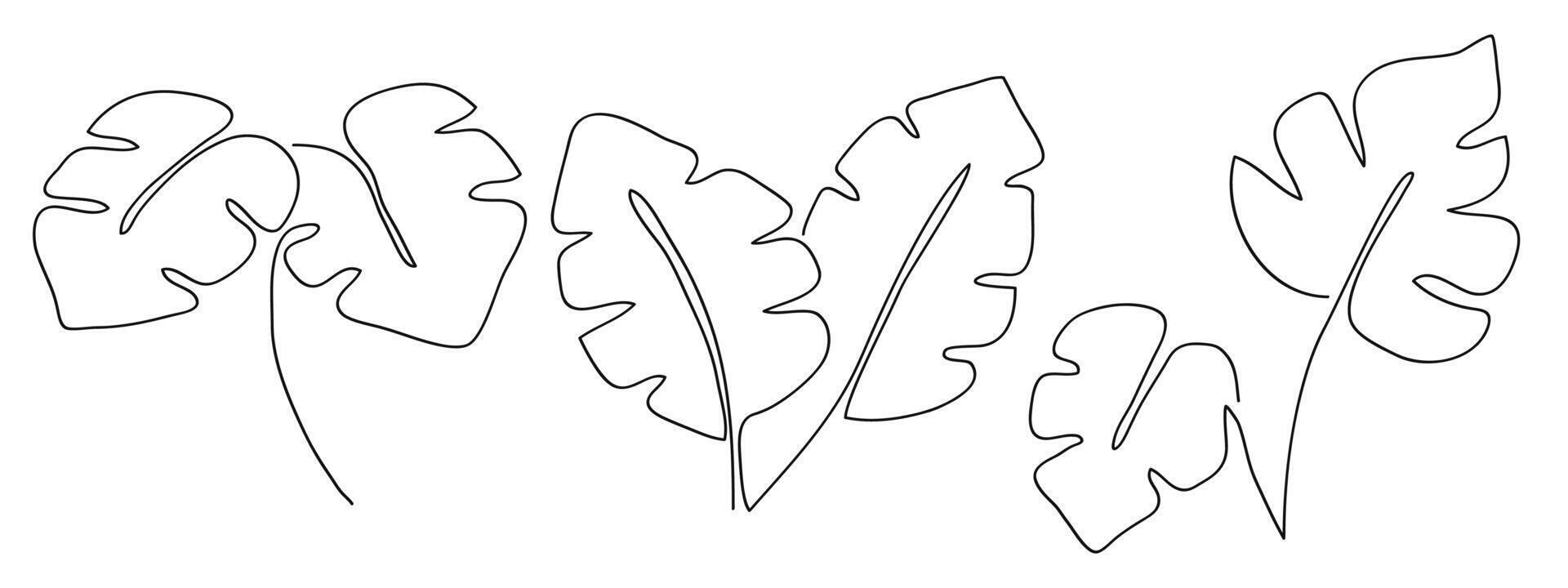 Simplicity monstera leaf freehand continuous line art hand drawn collection . illustration vector