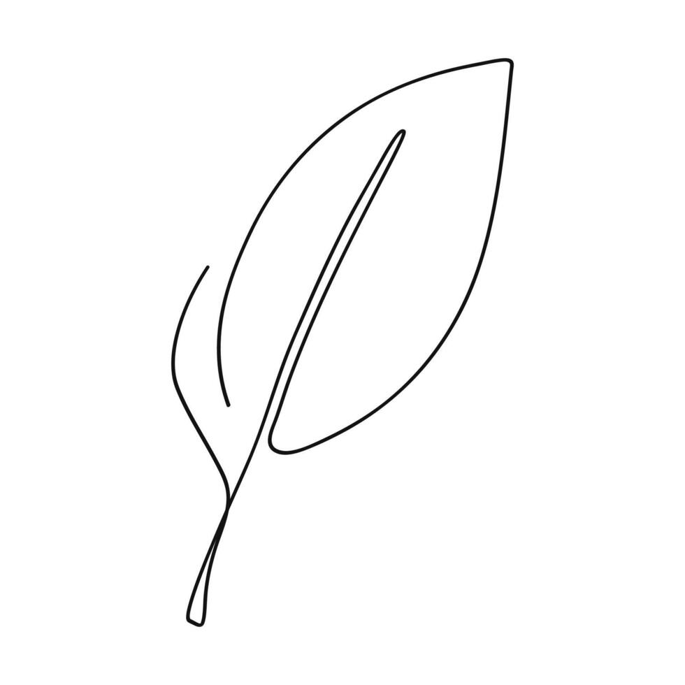 Leaf hand drawn line art one continuous. illustration vector