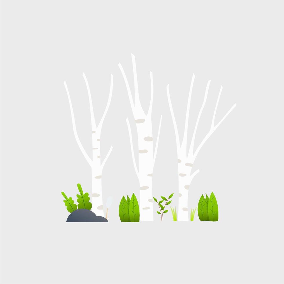 flat illustration of a forest with birch trees and plants vector