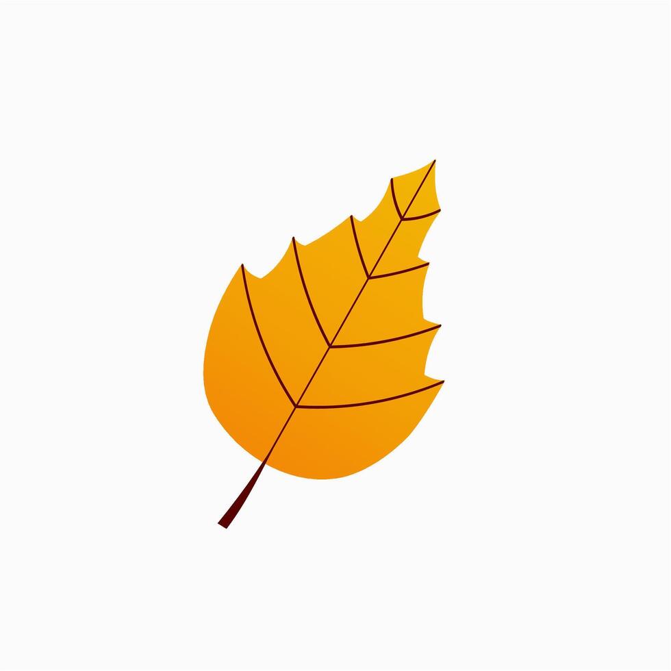 illustration of an iconic fall maple leaf vector