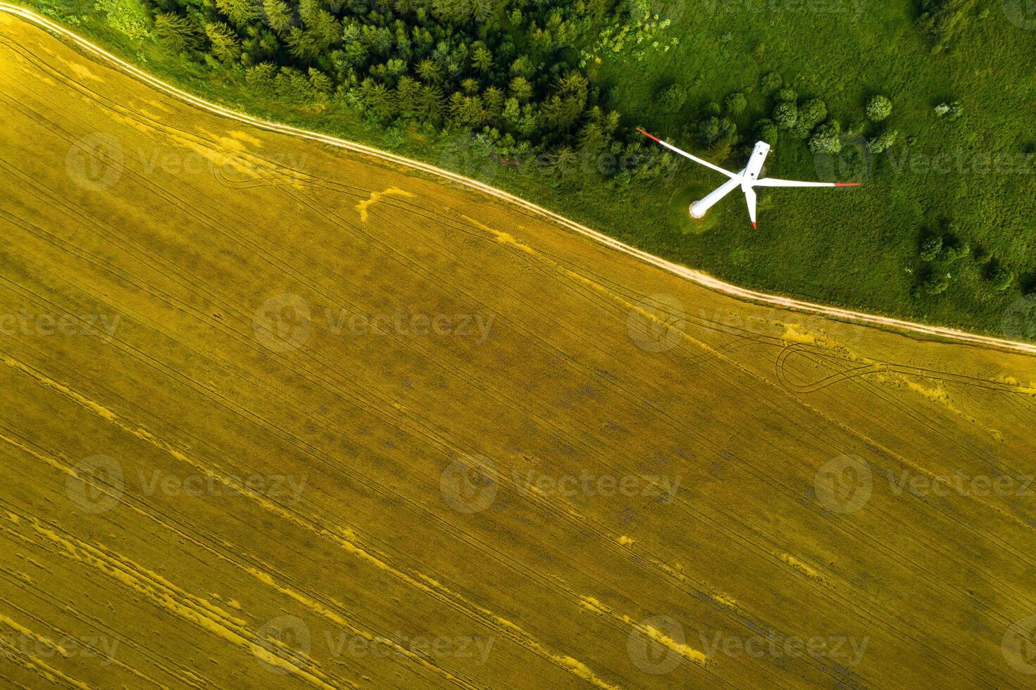 Windmills on the background of forests and fields. Windmill in nature.Belarus photo