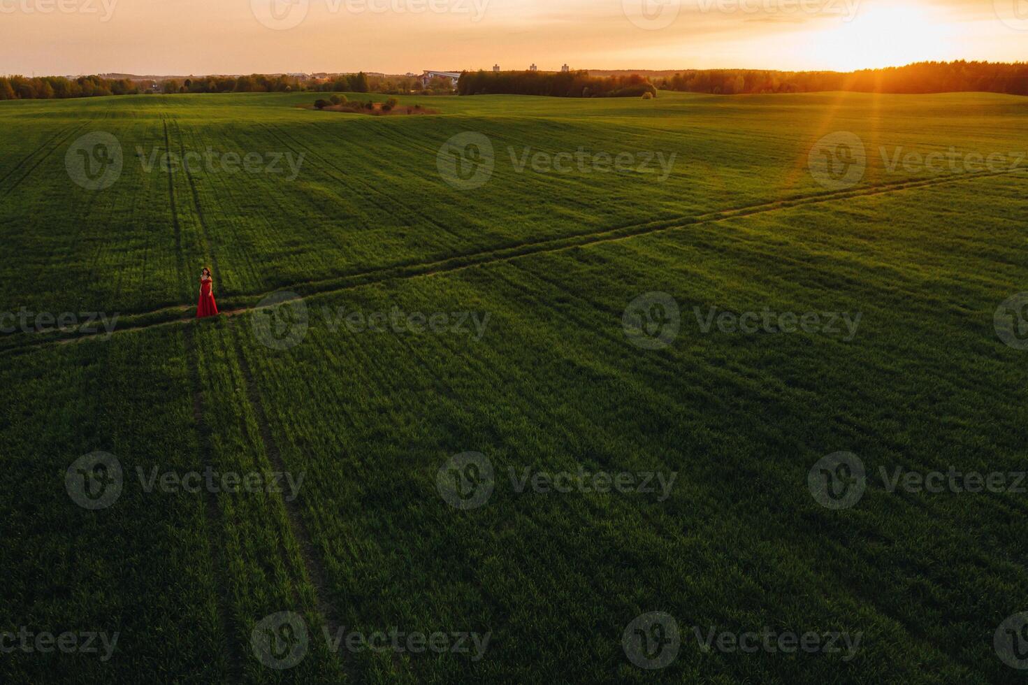 a beautiful girl in spring in a red dress is walking in a field at sunset. Taken from the air by a quadrocopter photo