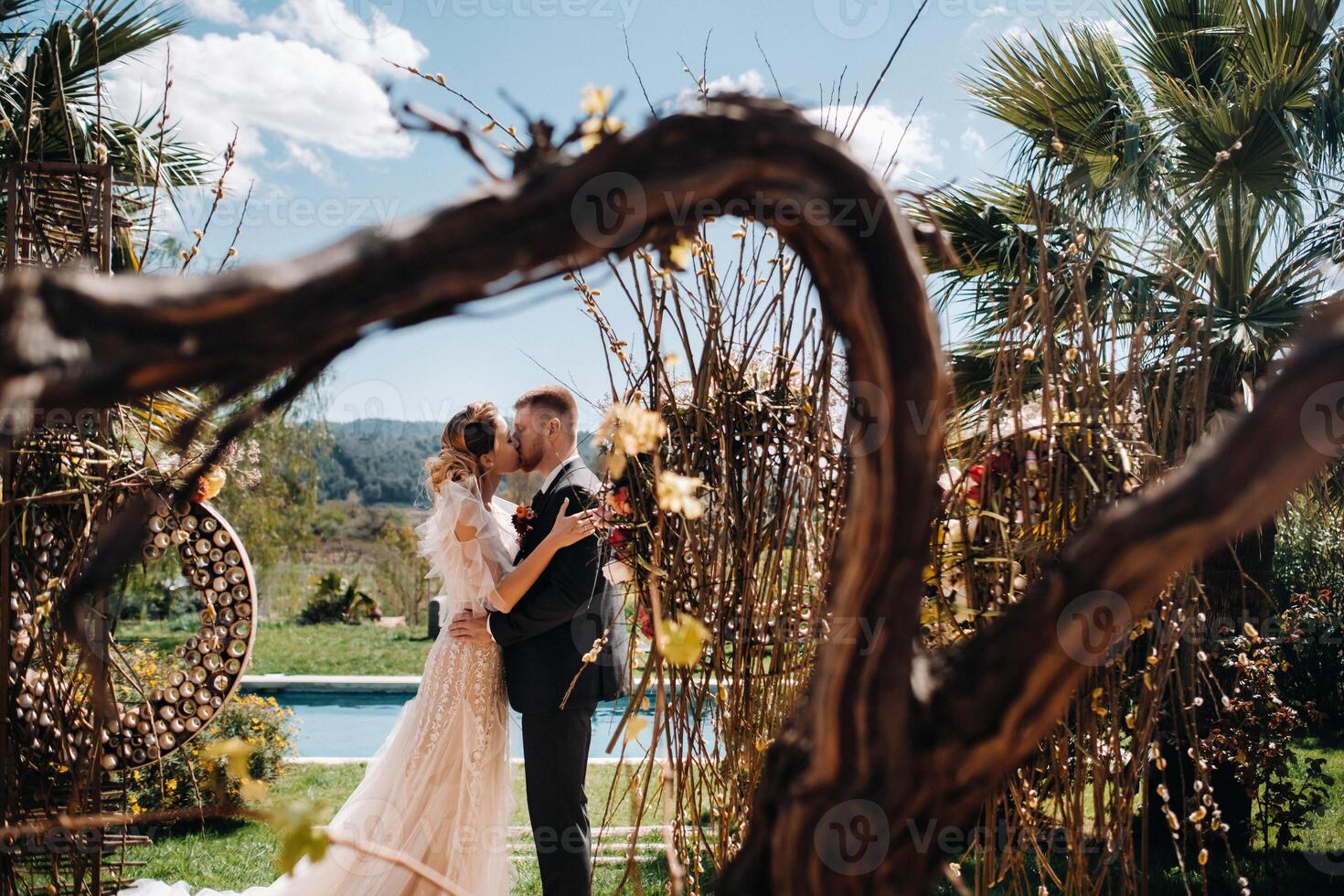 Wedding couple near a Villa in France.Wedding in Provence.Wedding photo shoot in France