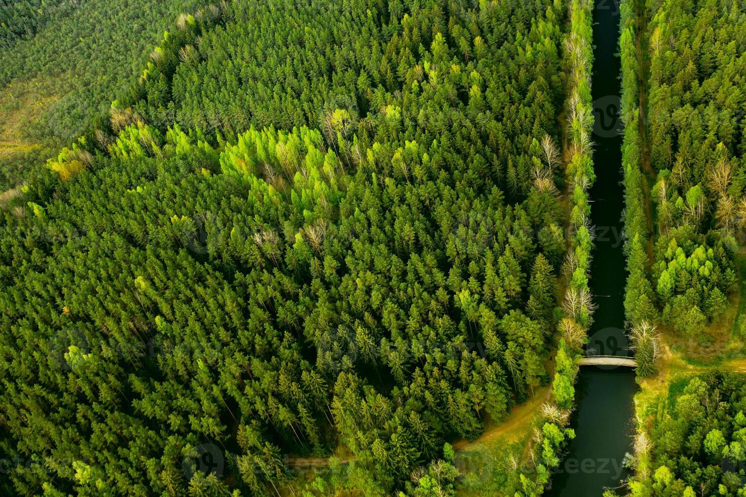 Bird's-eye view of the river and bridge. Forest area with a river in Belarus photo