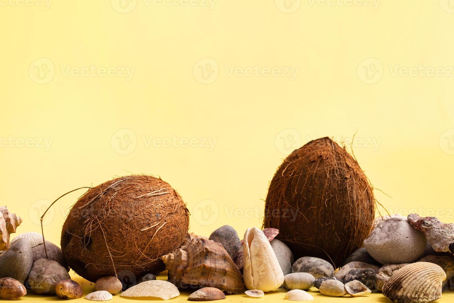 Coconuts, rocks and shells on a yellow background .Marine theme photo