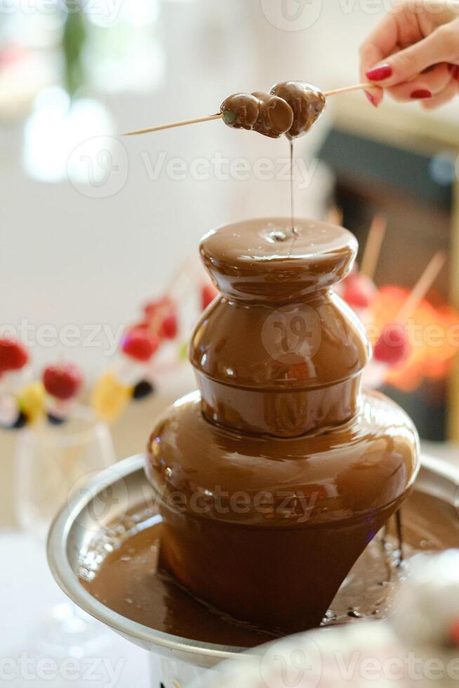 Fondue with a chocolate fountain and sweets for it.Sweet theme photo