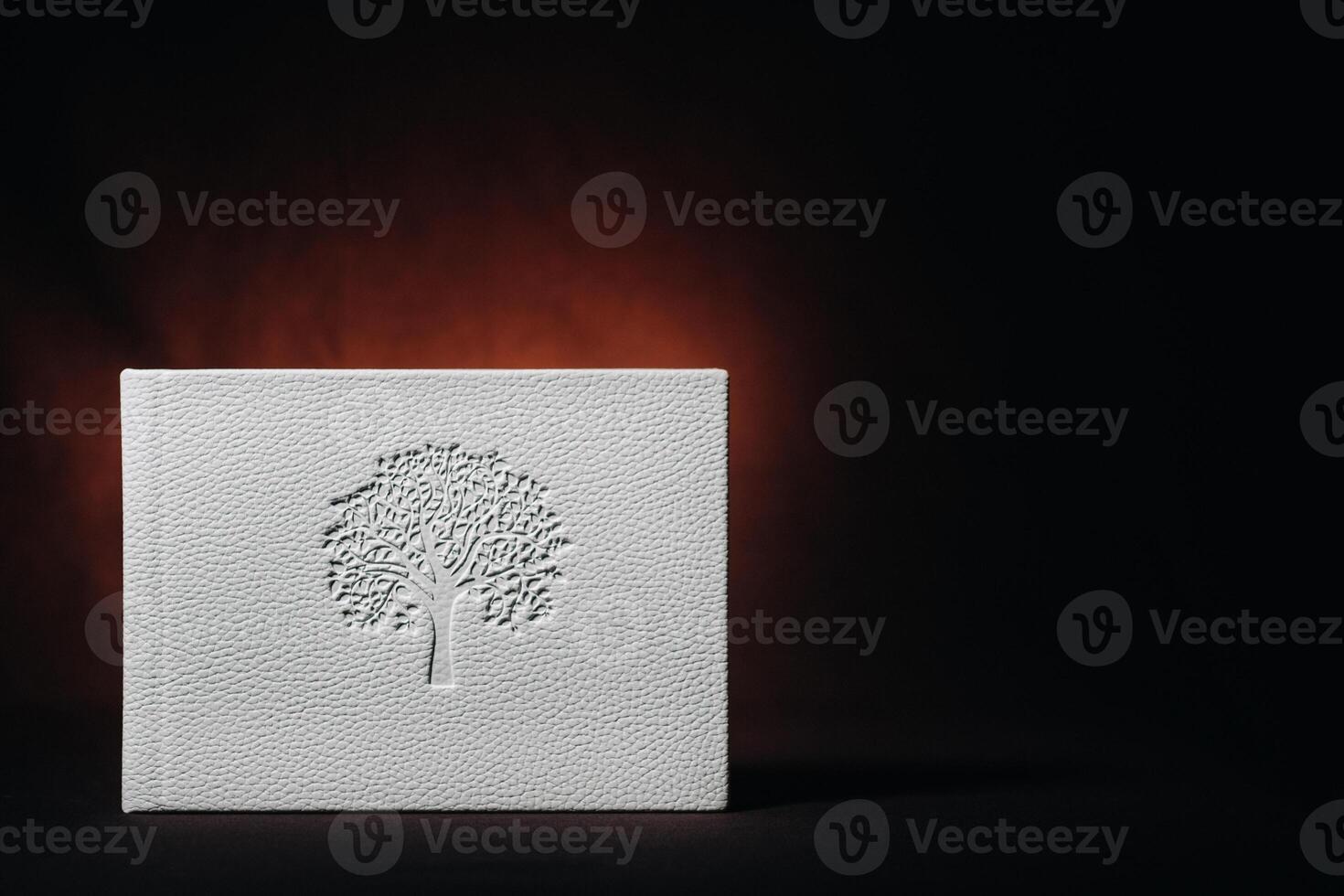 White book in genuine white leather on a dark embossed background . White paper on a dark background. photo