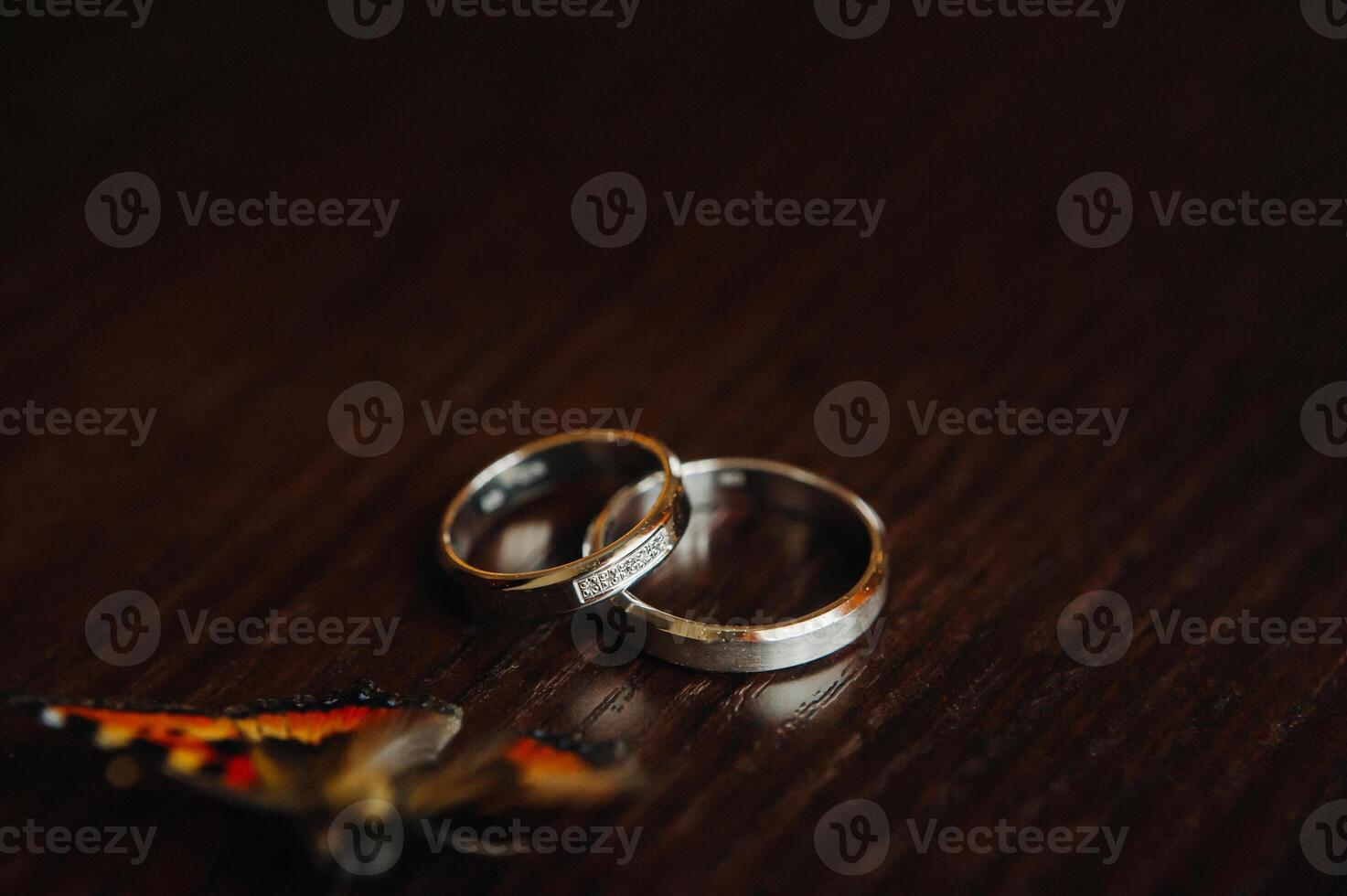 Close-up of two gold wedding rings for a wedding photo
