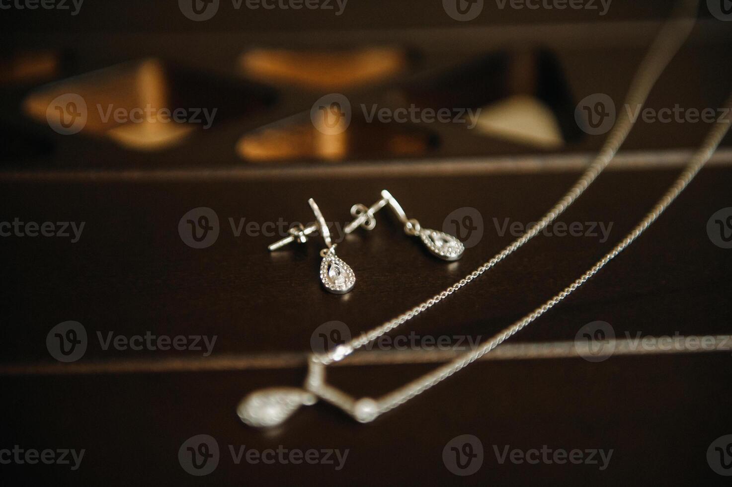 Accessories for the bride. Earrings and a chain with a pendant. White wedding earrings. photo
