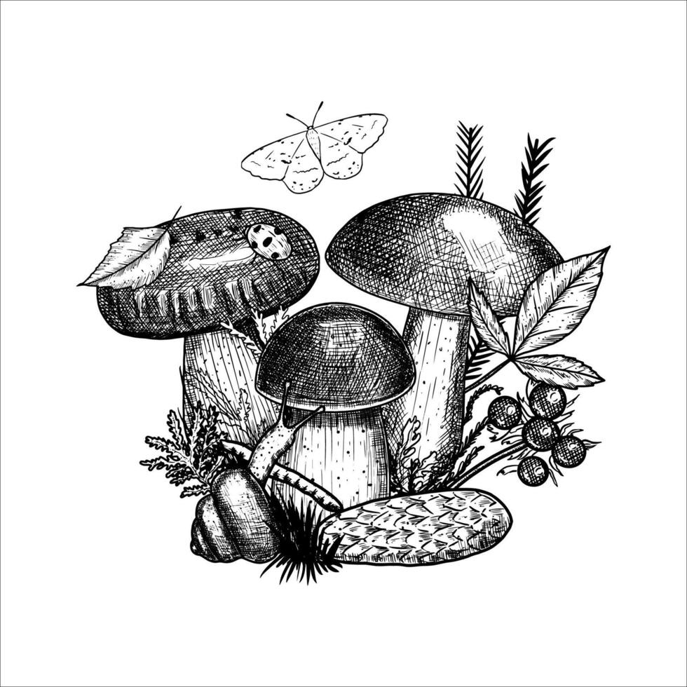 Hand draw mushrooms with pine cone, moss, berries, snail. illustration vector