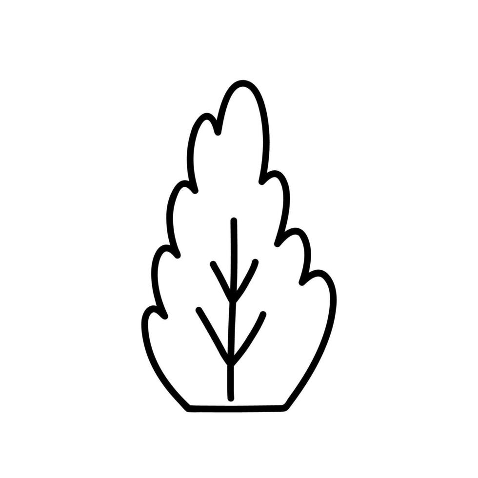 Bush isolated on a white background. hand-drawn illustration in doodle style. Perfect for cards, decorations, logo, various designs. vector