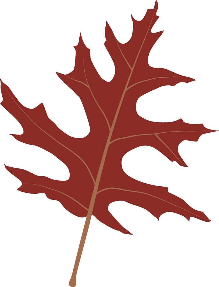 An fall leaf vector